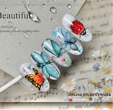 Butterfly Art